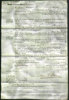 Court of Common Pleas - Sarah Jane Passmore-Original Ancestry