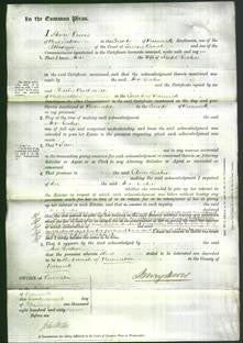 Court of Common Pleas - Ann Leakin-Original Ancestry