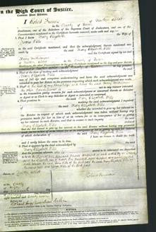 Court of Common Pleas - Mary Elizabeth Wells-Original Ancestry