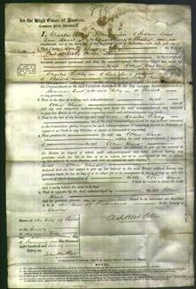 Court of Common Pleas - Ellen Ward Phelps-Original Ancestry