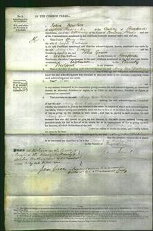 Court of Common Pleas - Mary Ann Dickenson-Original Ancestry