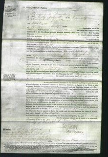 Court of Common Pleas - Carteret Gimingham-Original Ancestry