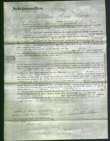 Court of Common Pleas - Frances Elizabeth Wass-Original Ancestry