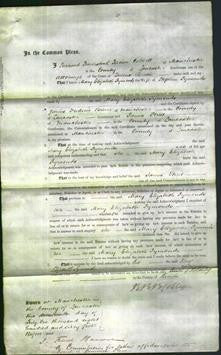 Court of Common Pleas - Mary Elizabeth Symonds-Original Ancestry