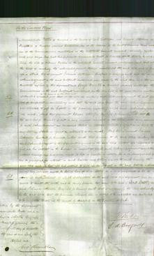 Court of Common Pleas - Alice Pickles-Original Ancestry