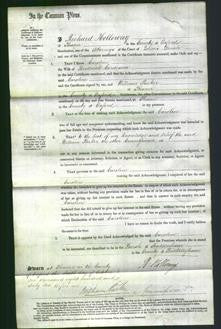 Court of Common Pleas - Caroline Cordeaux-Original Ancestry