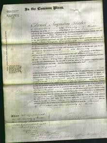 Court of Common Pleas - Ann Taylor Crowhurst-Original Ancestry