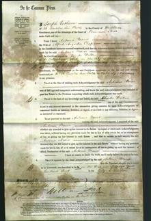 Court of Common Pleas - Antonia Maria Chapman-Original Ancestry