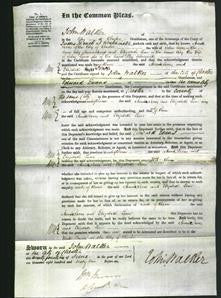 Court of Common Pleas - Annie Jones, Elizabeth Lowe-Original Ancestry