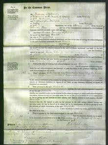 Court of Common Pleas - Charlotte Lord-Original Ancestry