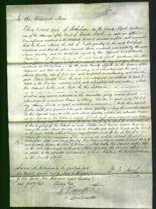 Court of Common Pleas - Maria Yeardley-Original Ancestry