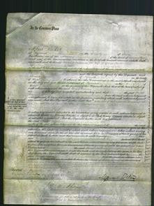 Court of Common Pleas - Harriet Williams Thorne-Original Ancestry