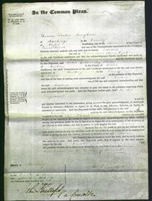 Court of Common Pleas - Emma Wyatt-Original Ancestry