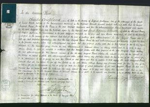 Court of Common Pleas - Margaret Prince-Original Ancestry
