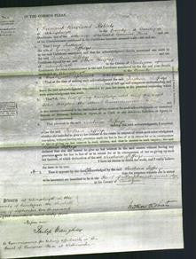 Court of Common Pleas - Justina Jeffreys-Original Ancestry