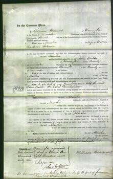 Court of Common Pleas - Martha Johnson-Original Ancestry