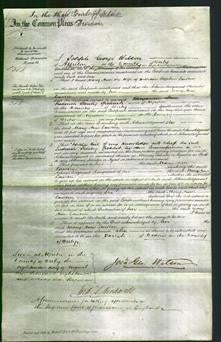 Court of Common Pleas - Mary Ann Lawton-Original Ancestry