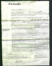 Court of Common Pleas - Frances Ann Laughton-Original Ancestry