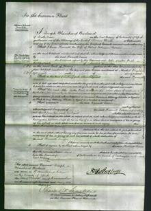 Court of Common Pleas - Harriett Turner-Original Ancestry