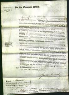 Court of Common Pleas - Francis Woodhams-Original Ancestry