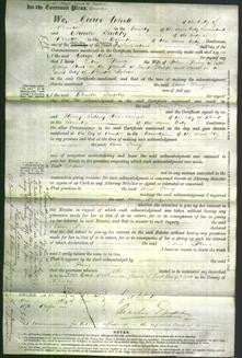 Court of Common Pleas - Ann Pring-Original Ancestry