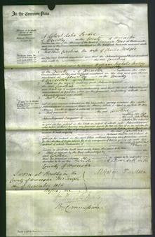 Court of Common Pleas - Caroline Hodges-Original Ancestry