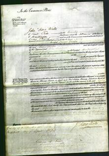 Court of Common Pleas - Mercy Freaks-Original Ancestry