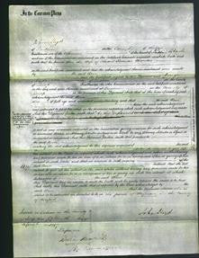 Court of Common Pleas - Ann Thomas-Original Ancestry