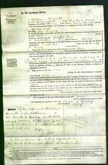 Court of Common Pleas - Ann Hanley-Original Ancestry