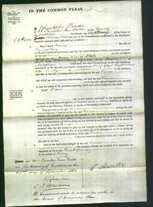 Court of Common Pleas - Frances Bray-Original Ancestry