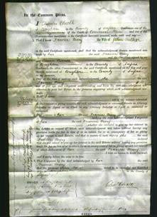 Court of Common Pleas - Frances Mary Walker-Original Ancestry