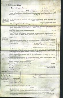 Court of Common Pleas - Mary Jebbs-Original Ancestry