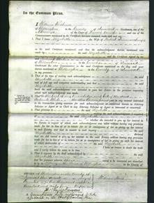 Court of Common Pleas - Elizabeth Summerhayes-Original Ancestry