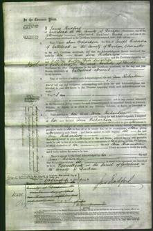 Court of Common Pleas - Ann Richardson-Original Ancestry