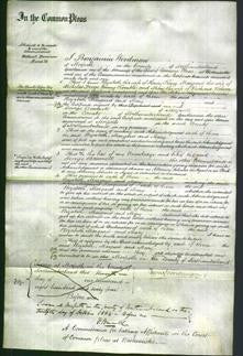 Court of Common Pleas - Elizabeth King, Margaret Kemble and Mary Wilson-Original Ancestry