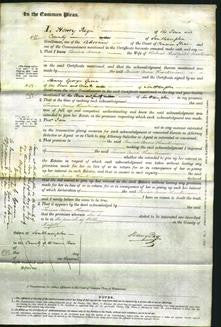 Court of Common Pleas - Louisa Anne Hankinson-Original Ancestry