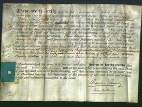 Deed by Married Women - Ellen Ward Phelps-Original Ancestry