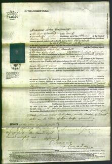 Court of Common Pleas - Elizabeth Jones-Original Ancestry