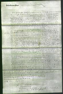 Court of Common Pleas - Sophia Cooke-Original Ancestry