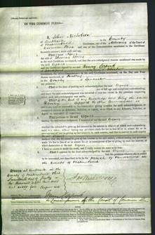 Court of Common Pleas - Agnes Storey-Original Ancestry