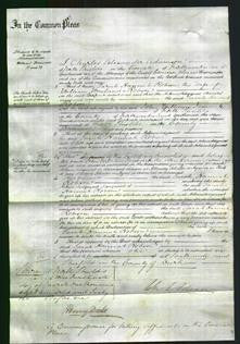 Court of Common Pleas - Sarah Hannah Robson-Original Ancestry