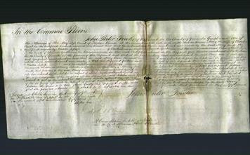 Court of Common Pleas - Mary Court-Original Ancestry