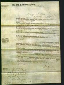 Court of Common Pleas - Mary Gates-Original Ancestry