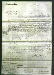 Court of Common Pleas - Eliza Hale-Original Ancestry