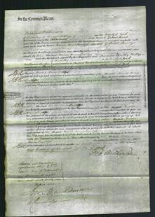 Court of Common Pleas - Marianne Sandys-Original Ancestry