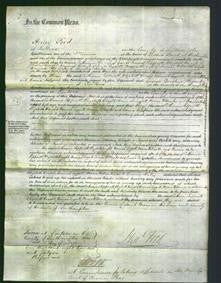 Court of Common Pleas - Catharine Peppiccot, Elizabeth Knight, Hannah Leggatt, Maria Willcocks and Emma Hales-Original Ancestry