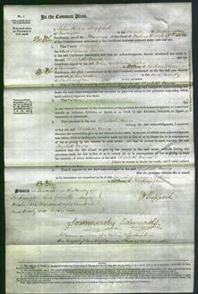 Court of Common Pleas - Elizabeth Howe-Original Ancestry