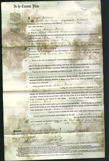 Court of Common Pleas - Antonia Maria Chapman-Original Ancestry