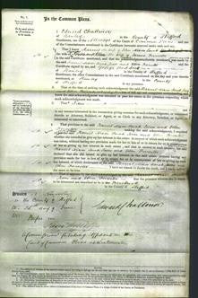 Court of Common Pleas - Harriet Nixon, Sarah Jones and Ellen Forrester-Original Ancestry