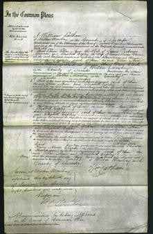Court of Common Pleas - Ellen Ann Preston and Elizabeth Copley Davies-Original Ancestry